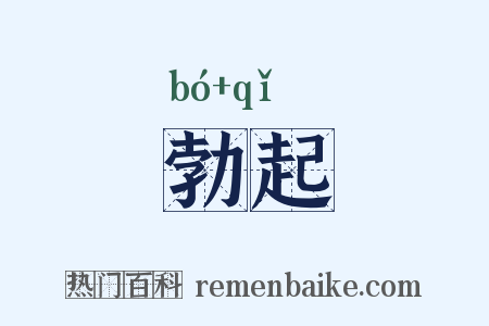 勃起是什么意思的图片